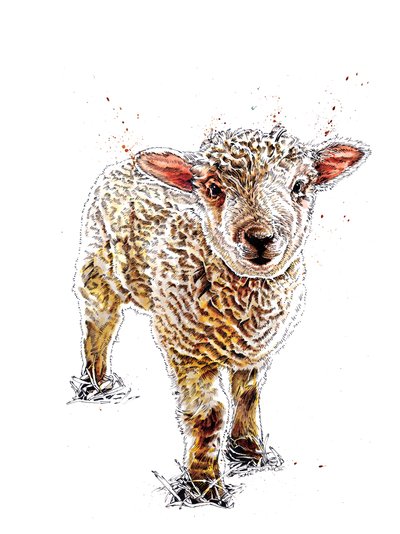 Das Lamm auf Weiß von Mike Davis