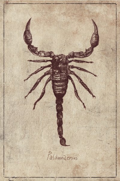 Palamnaersus Art von Mike Koubou