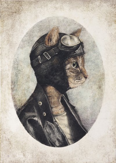 Stilvolle Katze mit Lederjacke von Mike Koubou