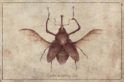 Vintage Stil und Sepia Töne von Mike Koubou