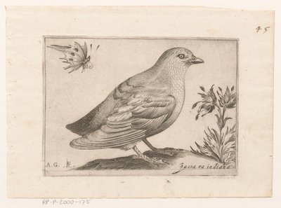 Vogel von Monogrammist AG
