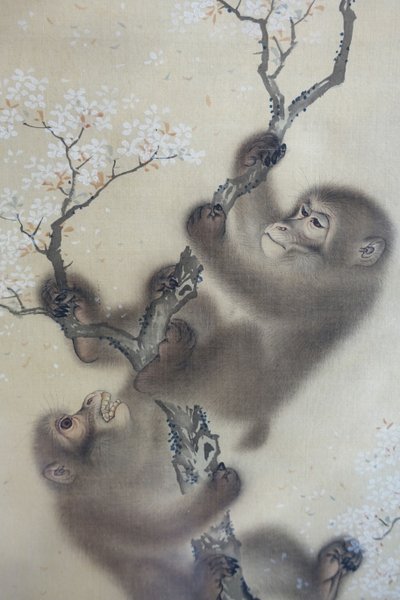 Affen in einem blühenden Kirschbaum, 1 von 2, Mori Sosen, Japan, Edo-Periode, frühes 19. Jahrhundert, Tinte und Farbe auf Seide - Arthur M. Sackler Museum, Harvard University von Mori Sosen