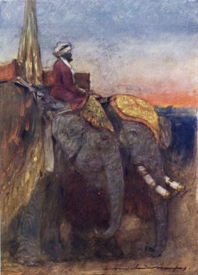 Elefanten von Jaipur von Mortimer Ludington Menpes