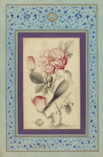 Rosen und Nachtigall von Muhammad Baqir