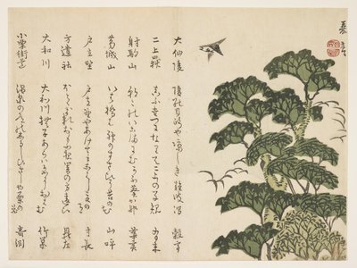 Großer Baum und Vögel, ca. 1830-44 von Murata Kagen