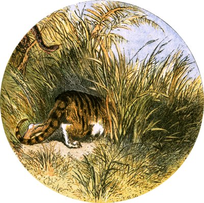 Illustration für 