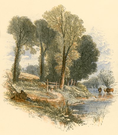 Sonntagsspaziergänge von Myles Birket Foster