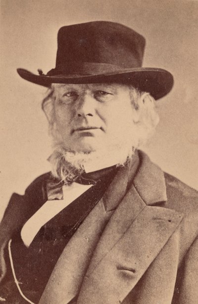 Porträt von Horace Greeley 1811-1872, 1869 von Napoleon Sarony
