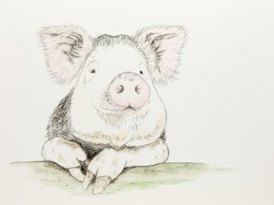 Niedliches Aquarellschwein von Natalie Bruns