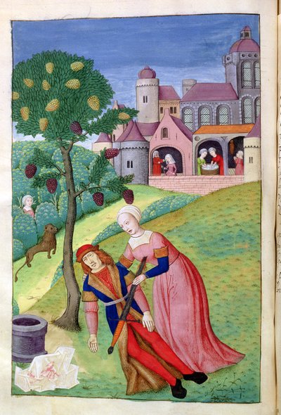 Alcithoe, Pyramus und Thisbe, Maulbeerbaum ändert die Farbe, aus Metamorphosen von Ovid, 1479 von Netherlandish School