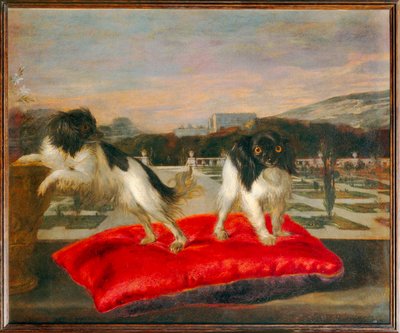 Zwei kleine Hunde auf der Terrasse eines italienisierenden Gartens von Nicasius (1620 78) Bernaerts