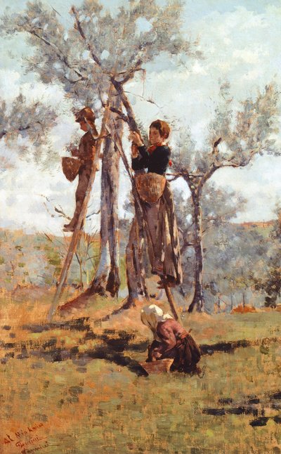 Die Olivenernte, ca. 1892 von Niccolo Cannicci