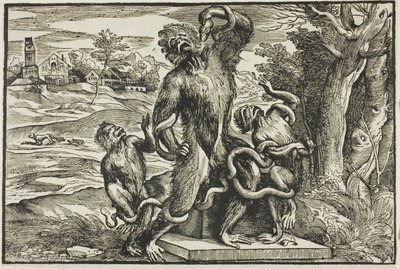 Laokoon von Nicolò Boldrini