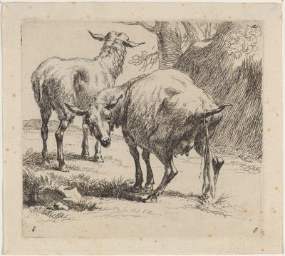 Zwei Schafe, eines pinkelt von Nicolaes Pietersz Berchem