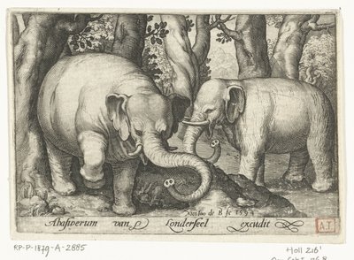 Zwei Elefanten (Vierfüßige Tiere, Tiere in Landschaften) von Nicolaes de Bruyn