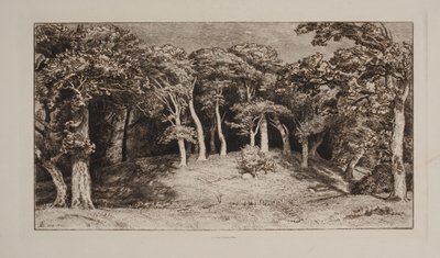 Hestehaven von Niels Skovgaard