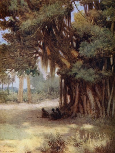 Unter einem Banyanbaum, Malekula-Insel, Neue Hebriden von Norman Hardy