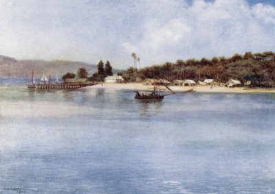 Die Insel Samari, Britisch-Neuguinea von Norman Hardy