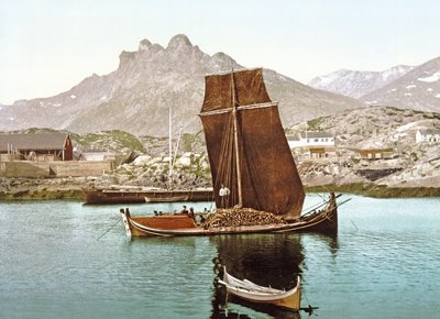Nordland-Boot mit einer Ladung Holz, Norwegen von Norwegian Photographer
