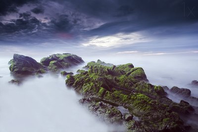 Ätherische moosige Meereslandschaft von Nuno Araujo
