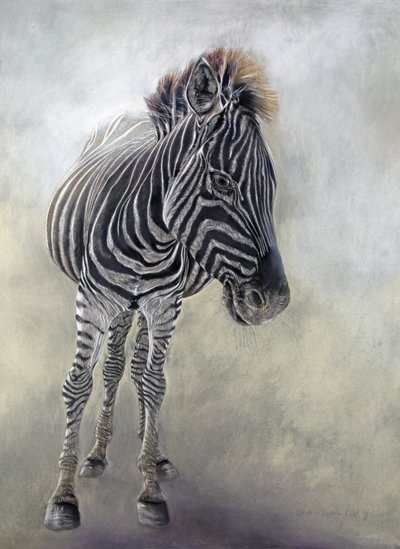 Equus burchelli 1, 2009 von Odile Kidd