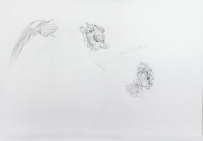 Estella rijnveld 1, 2013 von Odile Kidd