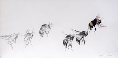 Flugmuster, 2014 von Odile Kidd