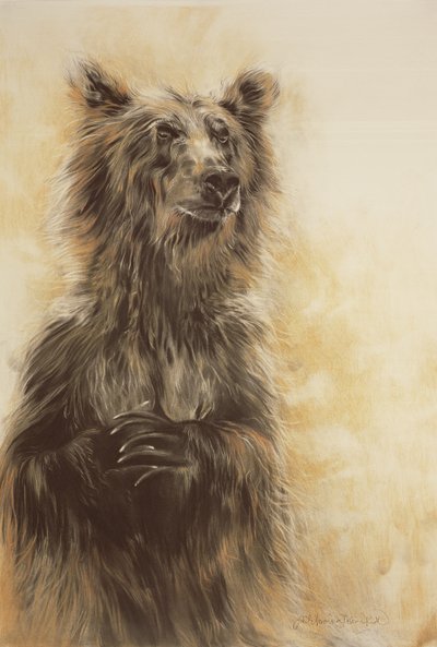 Grizzlybär 1, 2002 von Odile Kidd