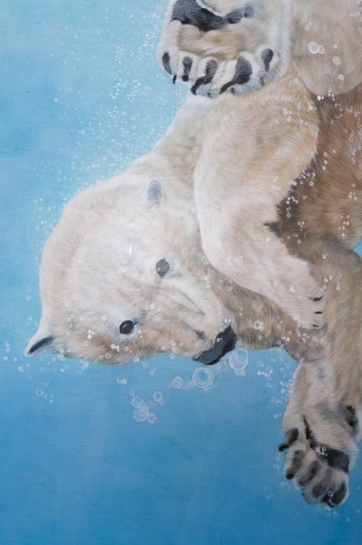 Polarbär-Ballett (Detail), 2012 von Odile Kidd