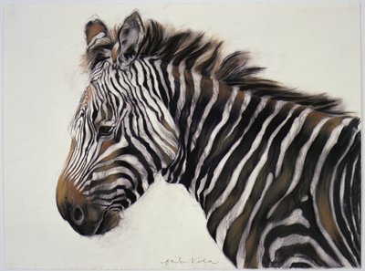 Zebra, 2002 von Odile Kidd