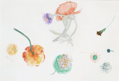 Blumenskizzen von Odilon Redon