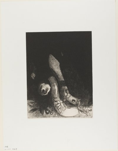 Blumen fallen und der Kopf einer Python erscheint, Platte 5 von 24 von Odilon Redon