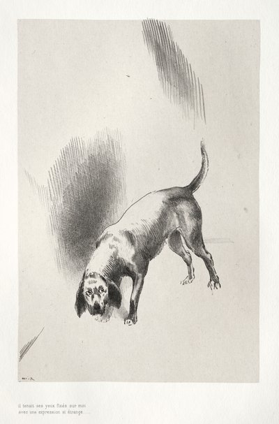 Er fixierte mich mit einem so seltsamen Ausdruck von Odilon Redon