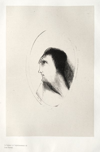 Die Breite und Flachheit des Stirnknochens von Odilon Redon