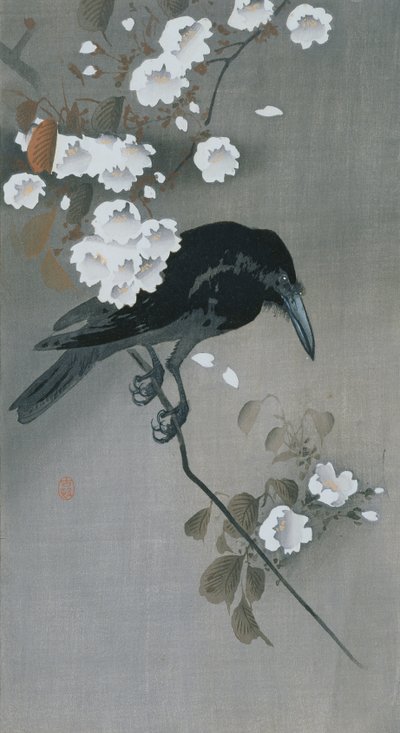 Krähe auf einem Kirschblütenzweig von Ohara Koson