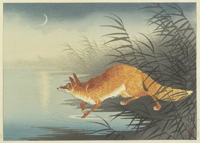 Fuchs am mondbeschienenen Wasser von Ohara Koson