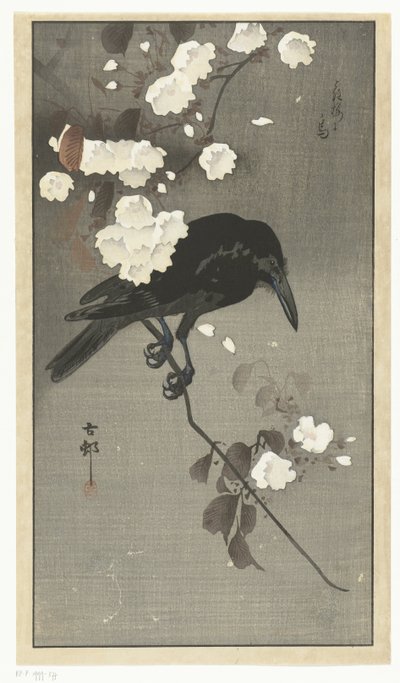 Krähe mit Kirschblüte von Ohara Koson