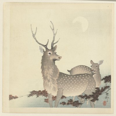 Zwei Hirsche von Ohara Koson