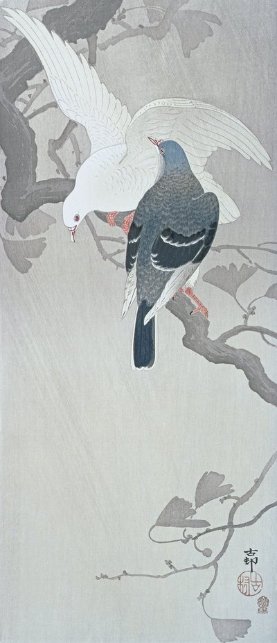 Zwei Tauben im Regen auf einem Ginkgobaumzweig von Ohara Koson