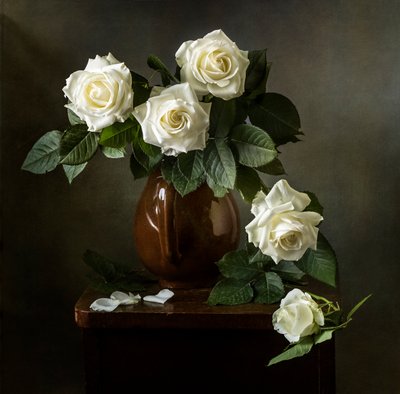 Elegante weiße Rosen von Olga Aleksandrovna