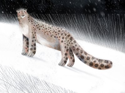 Schneeleopard in Winternacht von Olga Skomorokhova