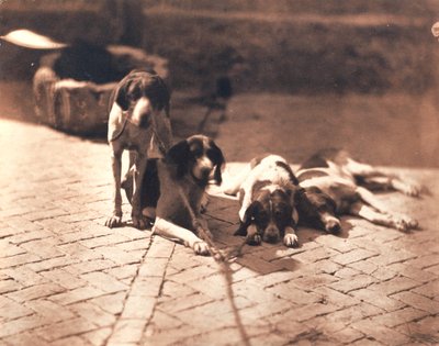 Jagdhunde, um 1853 von Olympe Aguado