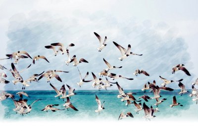 Möwen über türkisfarbenem Meer von Osvaldo Russo
