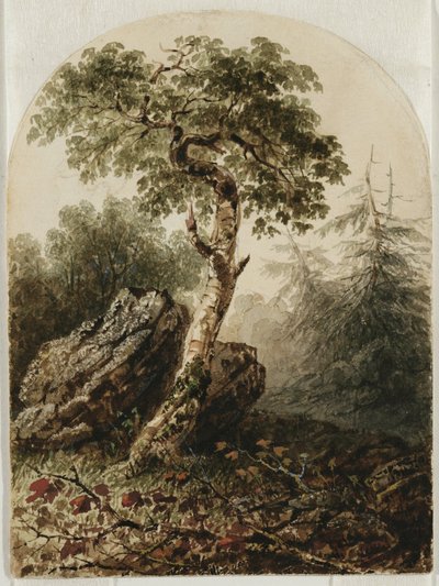 Landschaft mit Birke, 1859 von Owen G. Hanks