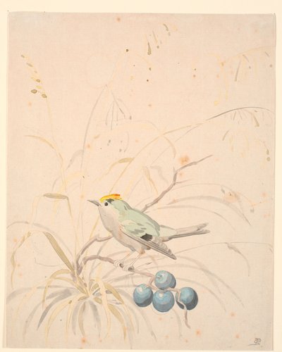 Ein Zaunkönig auf einem Schlehengren von P.C. Skovgaard
