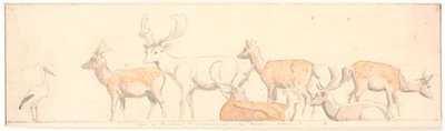 Eine Gruppe Hirsche und ein Storch von P.C. Skovgaard