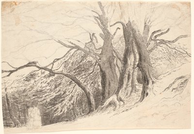 Ein Abhang mit großen Bäumen in einem Wald, mit zwei gehenden Damen von P.C. Skovgaard