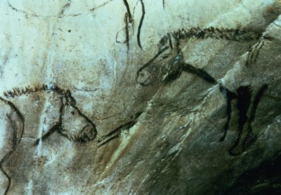 Pferde, Felsmalereien im Schwarzen Raum, Magdalénien von Paleolithic Paleolithic