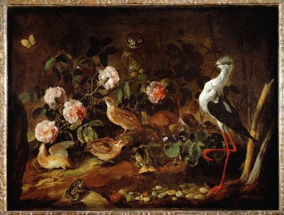 Stillleben mit Eule und Ibis von Paolo Porpora