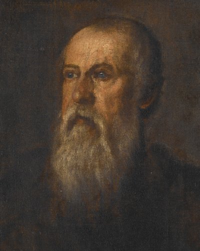 Porträt eines bärtigen Mannes von Paolo Veronese